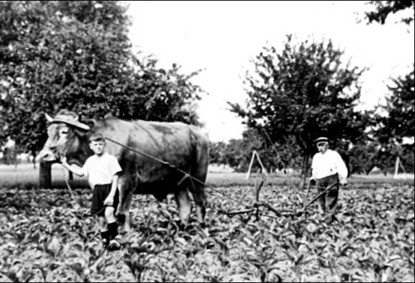 1935HansMichaelFaust