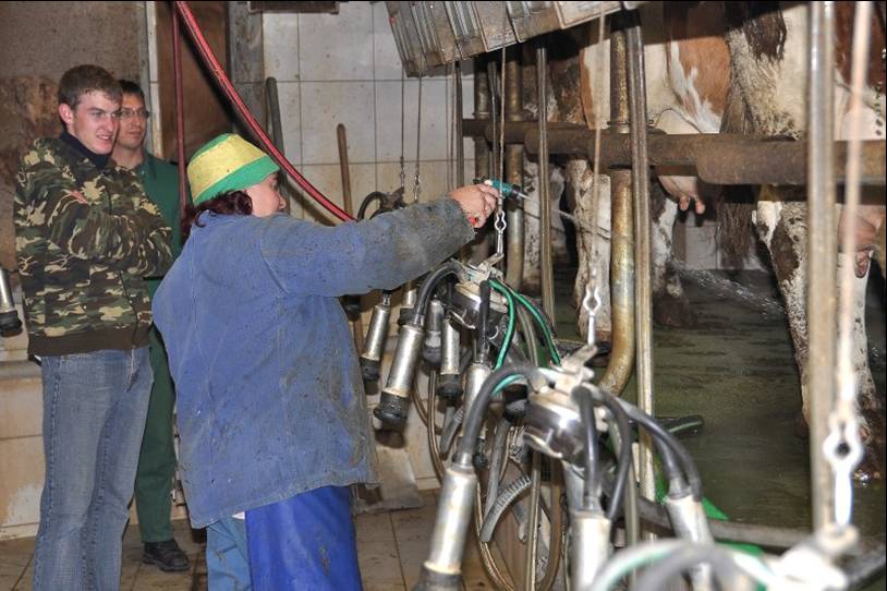 FriedrichFarm09.jpg