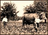 1935HansMichaelFaustTN