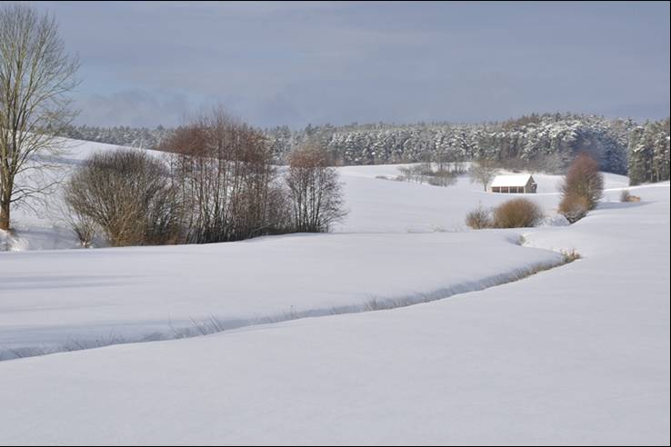 10Winter02.jpg