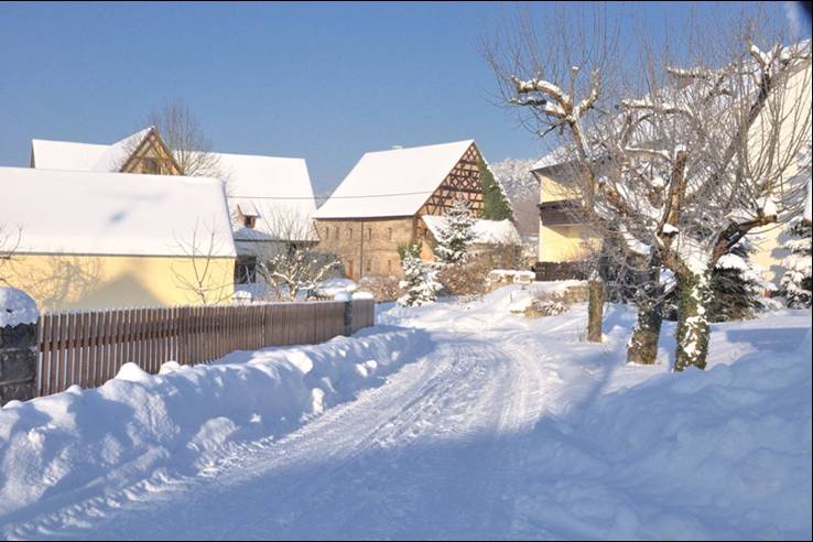 101230Winter07.jpg