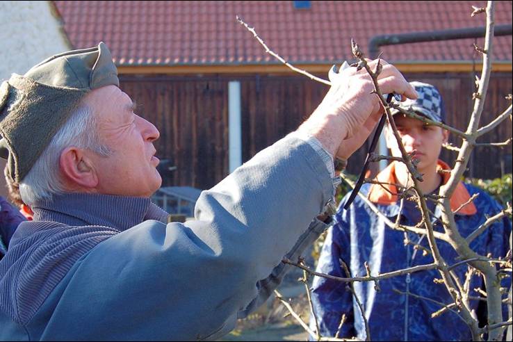 2008Obstbaumschule02