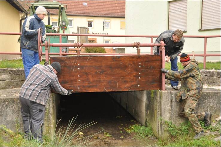 2009Arbeitseinsatz.JPG